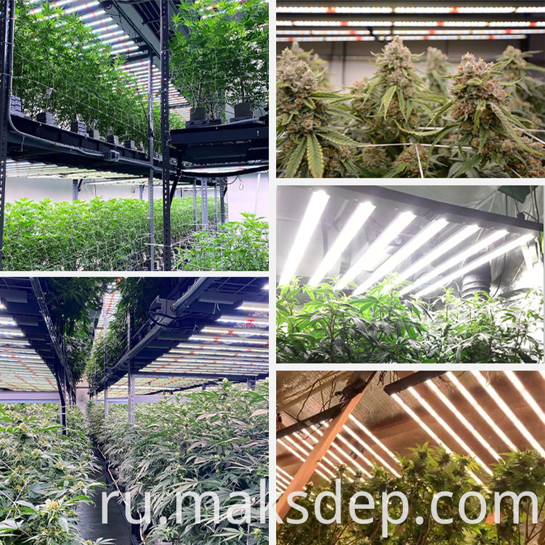 hydroponics 1000w grow light kit
